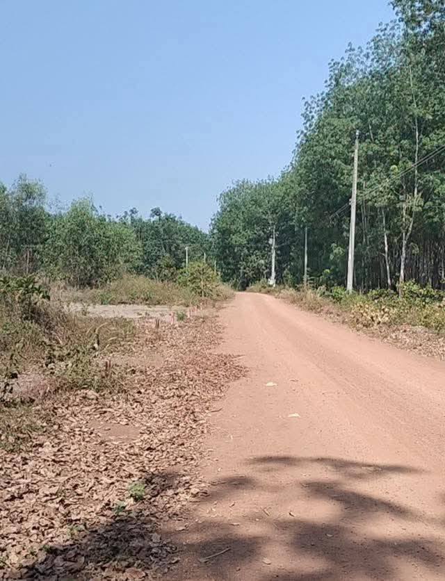 dat-an-binh-22-dien-tich-10x33-100m-tho-cu-gia-950tr